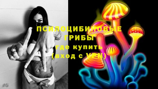 хмурый Арсеньев