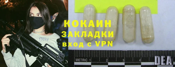 хмурый Арсеньев