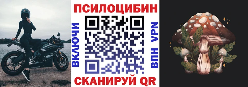 кракен   Курганинск  Галлюциногенные грибы Psilocybine cubensis 